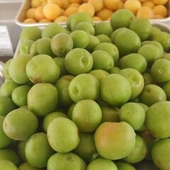 梅仕事と梅を使ったお料理教室の画像