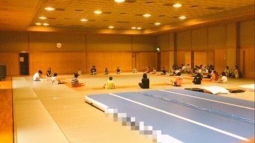 エアーマット 各教室様に納入実績あり (2m*4m*0.2m, グレー)