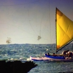 日本にネイティブハワイアンが来ます。ネイティブハワイアンのロミロミワークショップ開催。2024.2025T.O.Pモアニジャパン•ロミロミスクール東京•京都の画像