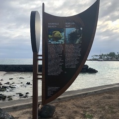 日本にネイティブハワイアンが来ます。ネイティブハワイアンのロミロミワークショップ開催。2024.2025T.O.Pモアニジャパン•ロミロミスクール東京•京都の画像