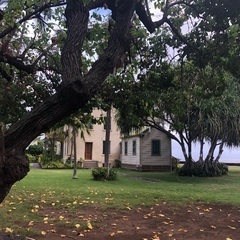 日本にネイティブハワイアンが来ます。ネイティブハワイアンのロミロミワークショップ開催。2024.2025T.O.Pモアニジャパン•ロミロミスクール東京•京都の画像