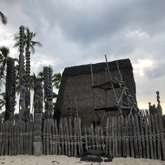 日本にネイティブハワイアンが来ます。ネイティブハワイアンのロミロミワークショップ開催。2024.2025T.O.Pモアニジャパン•ロミロミスクール東京•京都の画像