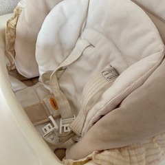 5/29まで限定　バウンサーの画像