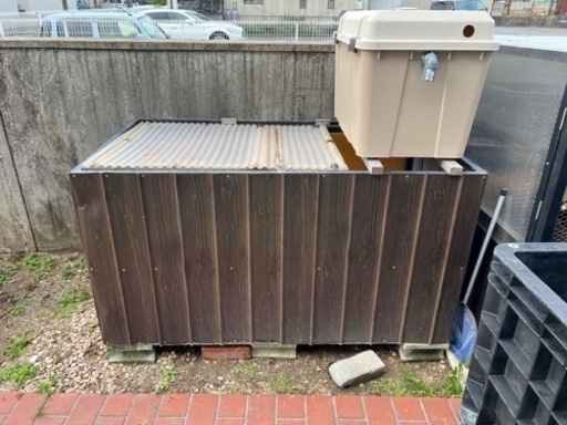 錦鯉　500ℓ オケ