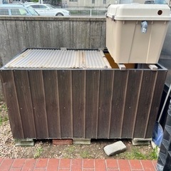 錦鯉　500ℓ オケ