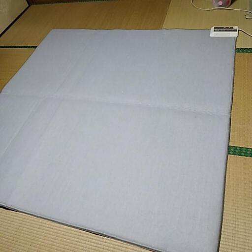 ホットカーペット　時期外れですが•••