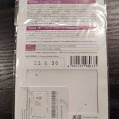 ヨーロッパ42カ国　5GB 10日間　プリペイドSIMカードの画像