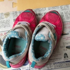 moon star 20センチの画像