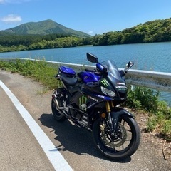YZF-R3  カスタム多数　320台限定モンスターエナジーカラー
