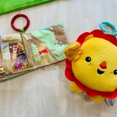 フィッシャープライス(fisher price) レインフォレスト・デラックスジムIIの画像