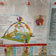フィッシャープライス(fisher price) レインフォレスト・デラックスジムIIの画像