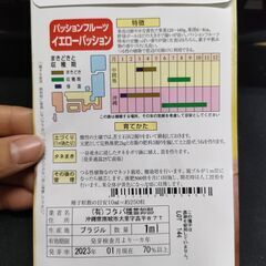 【フルーツ苗】パッションフルーツ（イエロー）の画像