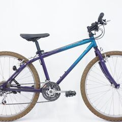 ジャンク GIANT「ジャイアント」 ROCK 4600 1990年中～後半頃