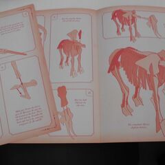 絵本　BONE　COLL　ANIMALS　工作　未使用品の画像