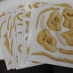 絵本　BONE　COLL　ANIMALS　工作　未使用品の画像