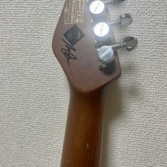 SCHECTER Nick Johnston Traditionalの画像