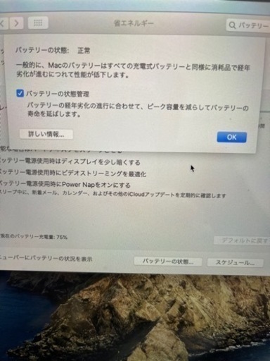MacBookPro 16inch 2019年製　（生活傷等あり）