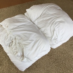 ニトリ 洗える人工羽毛掛布団 シングル2枚セットの画像