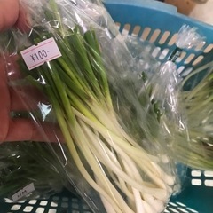 島らっきょうの画像