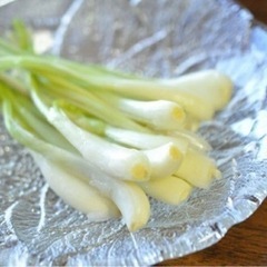 島らっきょうの画像