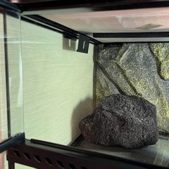 GEX EXOTERRA グラステラリウム6030 PT2604 爬虫類飼育　植物育成ケージの画像