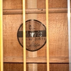 アコースティックギター MORRIS MF-205tsの画像