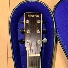 アコースティックギター MORRIS MF-205tsの画像