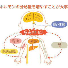 7月27日 体の事で悩まれている方へ in渋谷