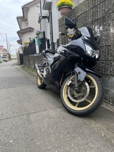 ニンジャ250r
