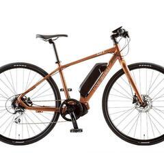ルイガノe-bike