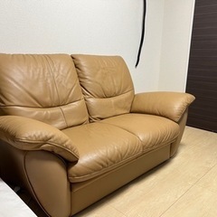 Karimokuカリモク Direttore デイレトーレ 2P...