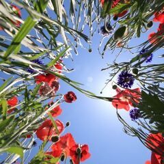 6月10日（土） 湖畔公園撮影会