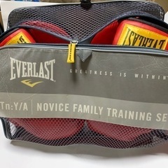 EVERLAST エバーラスト☆ボクシンググローブ＆パンチングミットのセットの画像