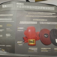 EVERLAST エバーラスト☆ボクシンググローブ＆パンチングミットのセットの画像
