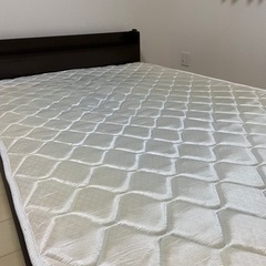 セミダブルベット無料です！