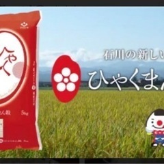 【お取引中】古米　米　餌　ペット　ハンドメイド　ひゃくまん穀