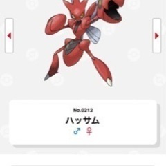 APEX メンバー募集