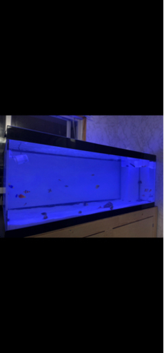 大型水槽 1500 600 600 厚さ10mm