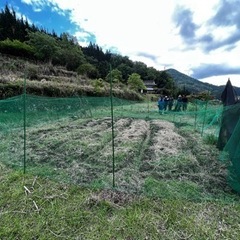 『体験型の村づくり🏕️』畑、自然農、村づくりに興味のある方仲良くなりたいです☀️ - 広島市