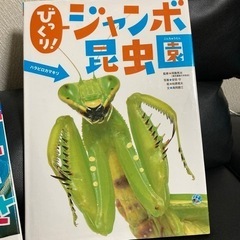 本当の大きさ動物園、水族館、ジャンボ昆虫園の画像