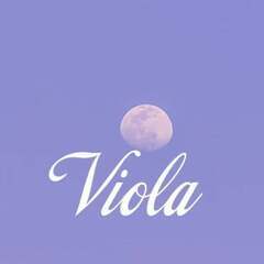社会人チアダンスチーム【Viola】