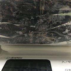 冷凍コオロギ　約1kgの画像