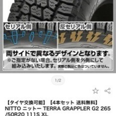 265,50,20  ニットー テラグラップラー G2 