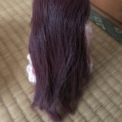 リカちゃんの画像