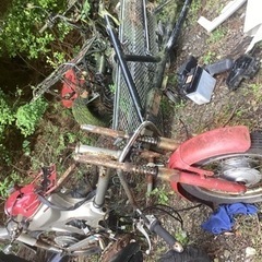 リトルカブ　三台まとめての画像