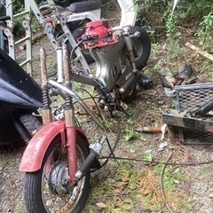 リトルカブ　三台まとめての画像