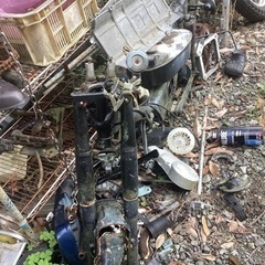 リトルカブ　三台まとめての画像