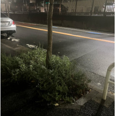 【30分／1袋1000円！】草むしり（45Lのゴミ袋使用）@港区...