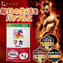 【新品・未開封】マカ サプリ 120粒入（30日分）