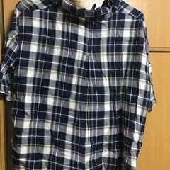 レディース　シャツの画像